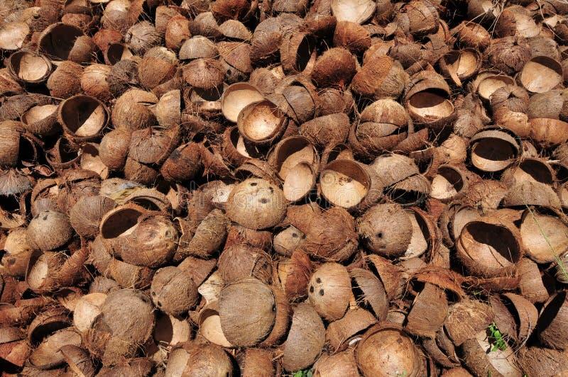 Copra — coconut dried meat with shell-free processing