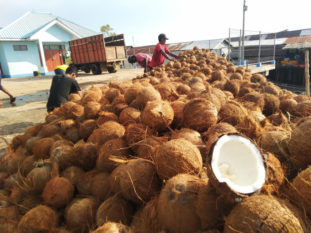 Indonesian coconut farmers and copra production